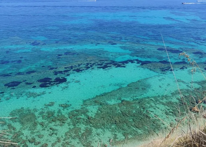 לינה וארוחת בוקר Sara